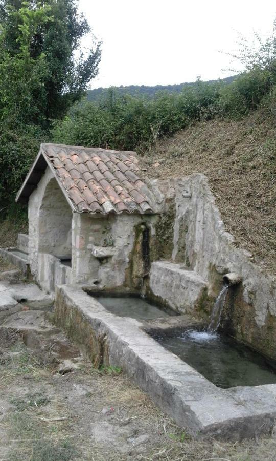 Agriturismo Terramia Meggiano Ngoại thất bức ảnh